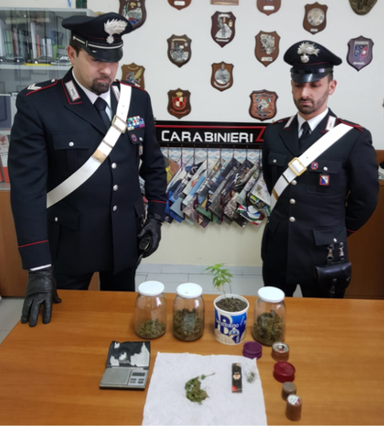 Vasi con marijuana e piantine di cannabis in un casolare di Pomarico. 22enne ai domiciliari