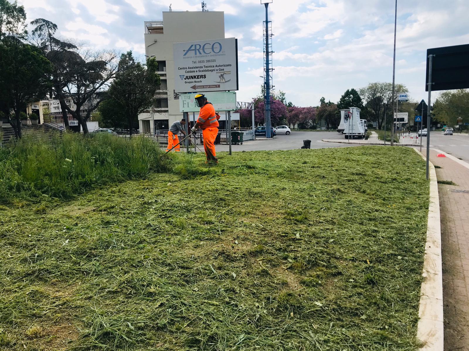 Igiene urbana: ripartono a Matera gli interventi di potatura, sfalcio erba, derattizzazione, disinfestazione e pulizia delle caditoie