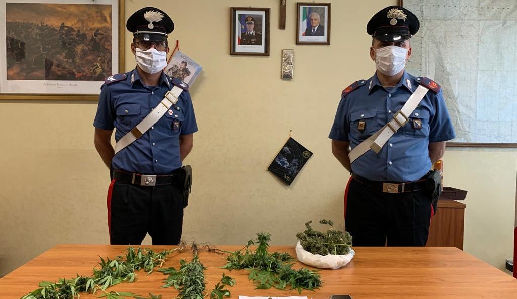 Montescaglioso, i Carabinieri arrestano 22enne sorpreso a coltivare marijuana