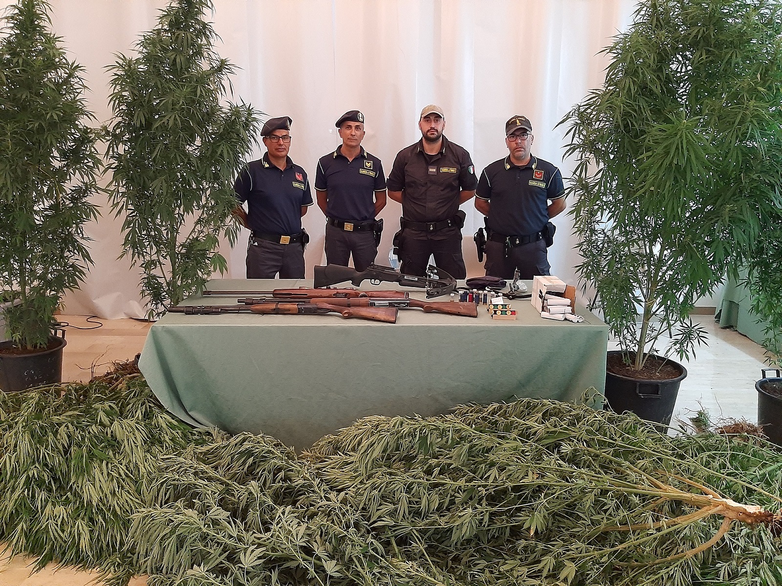 Armi e piante di cannabis nelle campagne di Policoro. 60enne arrestato dalla Guardia di Finanza
