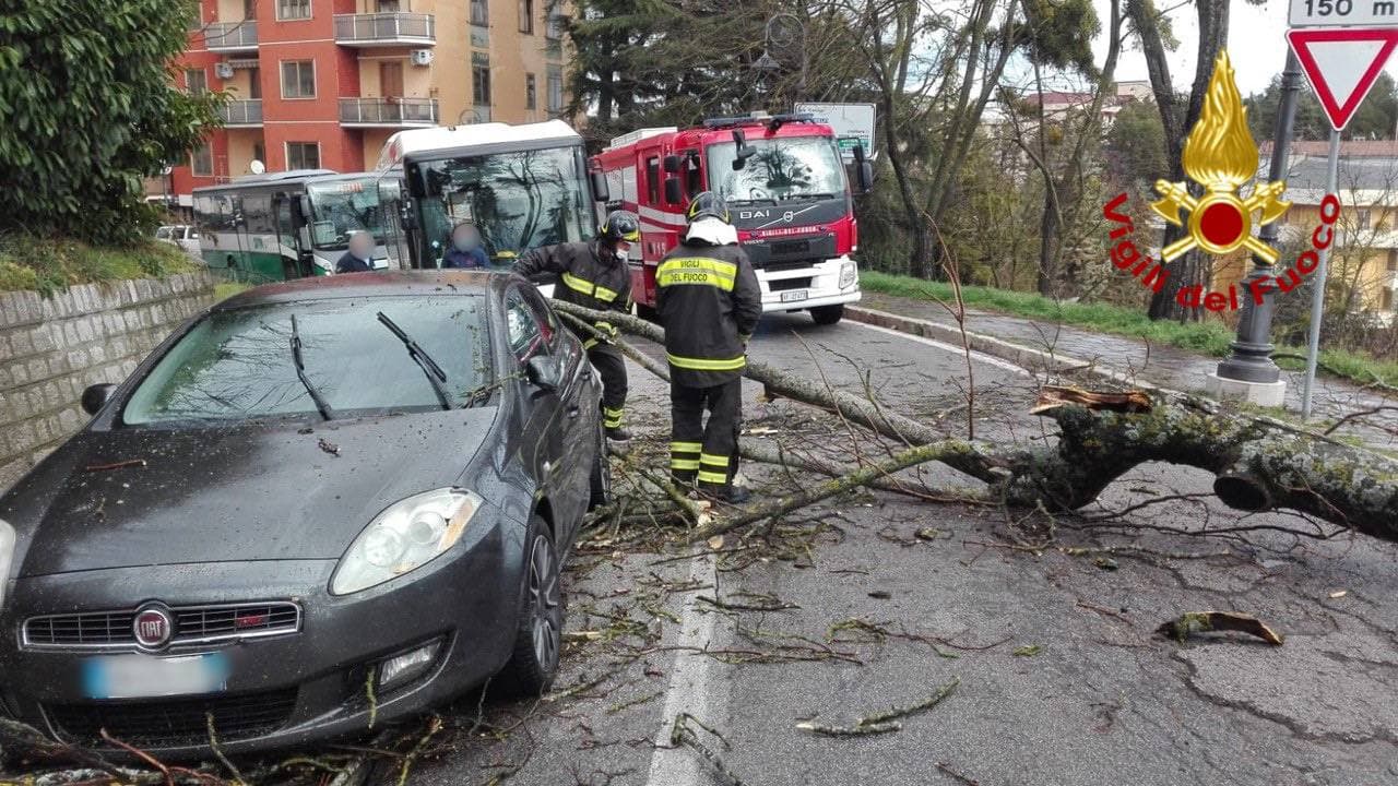 Potenza, tragedia sfiorata: un albero cade su un’auto in transito
