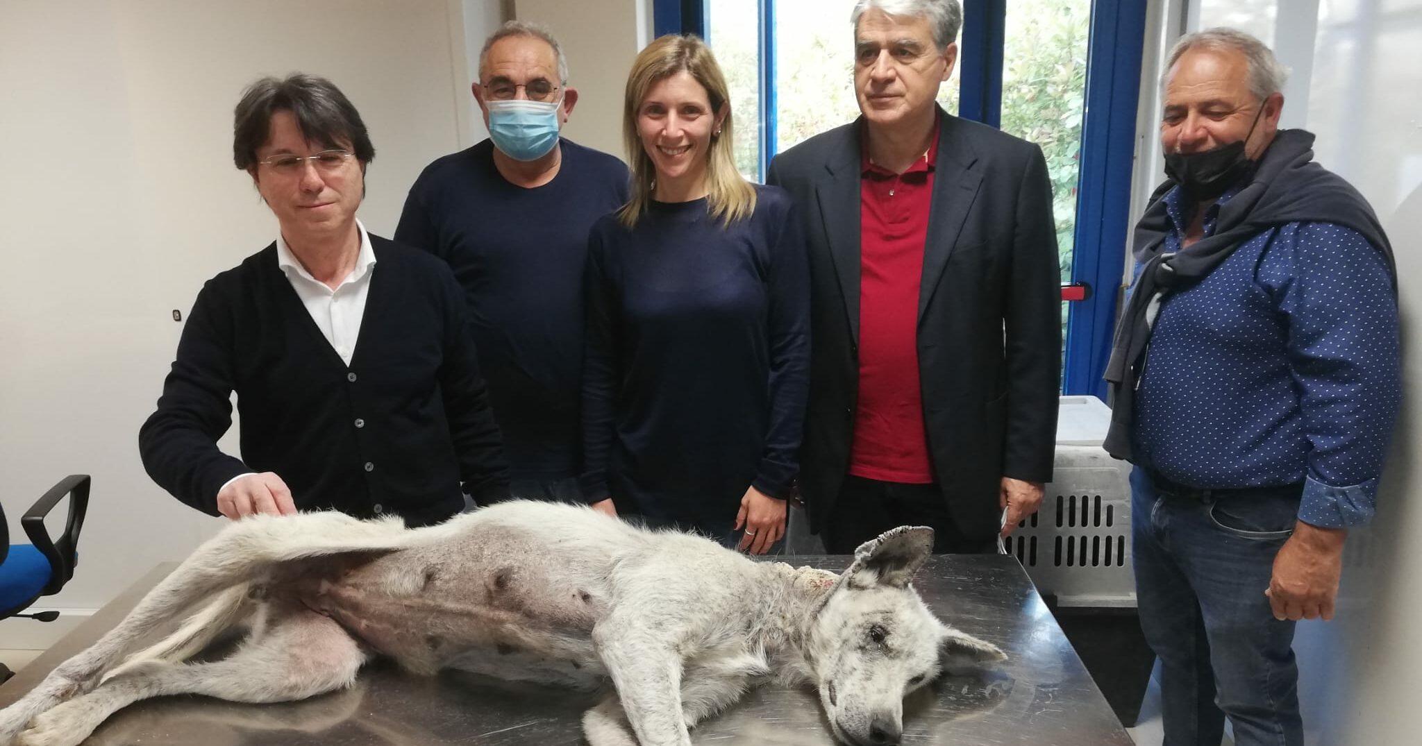 Nel Materano cagnolino in salvo grazie all’intervento del servizio veterinario dell’ASM