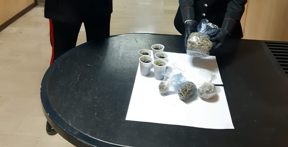 Marijuana nascosta in casa, 36enne di Matera arrestato dai Carabinieri