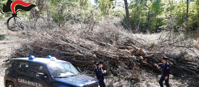 Aliano: area boscata comunale sequestrata dai Carabinieri Forestali di Stigliano, Tursi e Rotondella