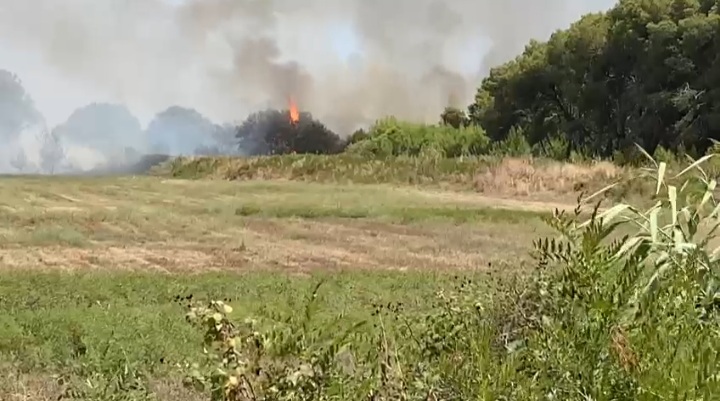 Scanzano Jonico, vasto incendio in località Bufalaria. Evacuato un camping