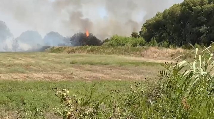 Scanzano Jonico, vasto incendio in località Bufalaria. Evacuato un camping