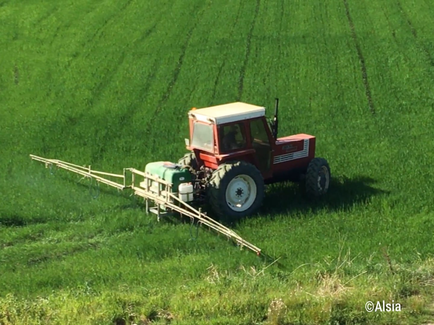 Servizi di Consulenza fitosanitaria ALSIA: aperto il secondo Bando a sportello per le aziende agricole della Basilicata (Sottomisura 2.1 del PSR 2014-2020 della Regione Basilicata)