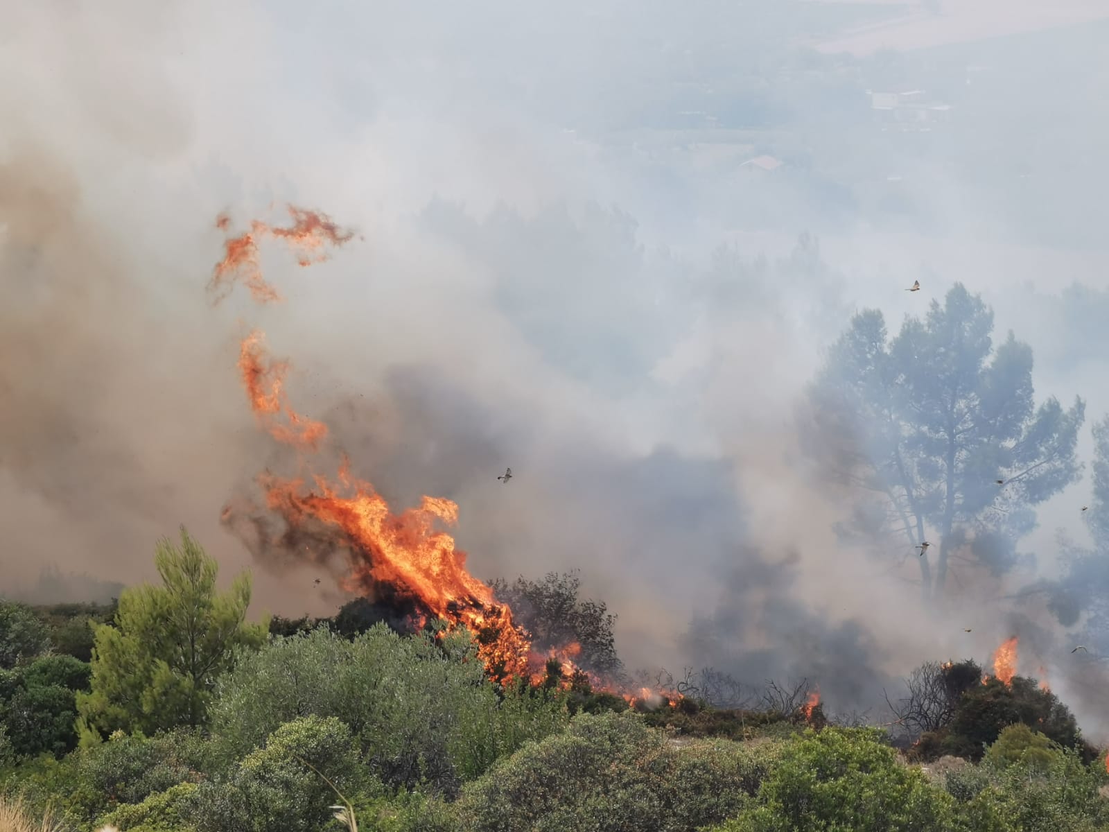 Matera, sterpaglie in fiamme nella zona Paip