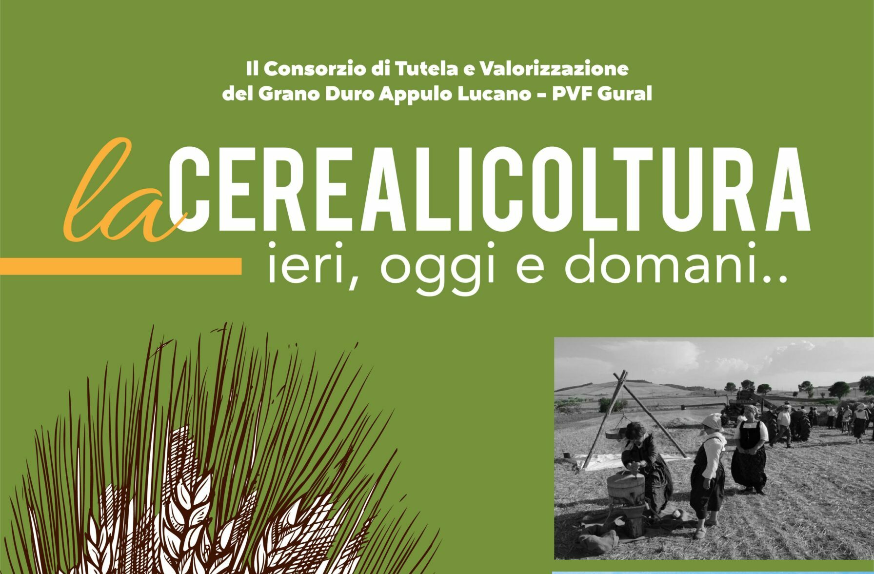 “La cerealicoltura ieri, oggi e domani”: presentazione il 13 all’Istituto Tecnico Agrario Statale “Briganti” di Matera