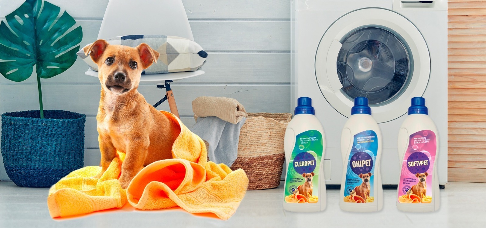 Il bucato “Pet Friendly”. Da Matera i nuovi detergenti professionali Heart Italiana per gli amici 4 zampe