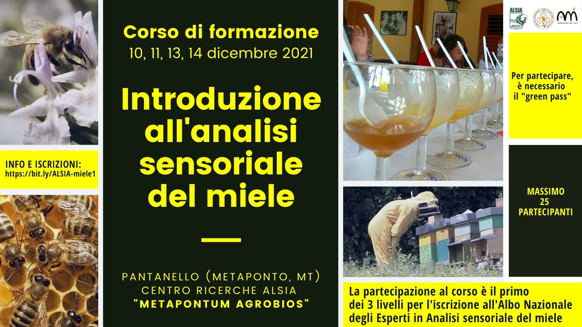 Al Centro Ricerche dell’ALSIA “Metapontum Agrobios” dal 10 al 14 dicembre  primo corso di “Introduzione all’analisi sensoriale del miele”