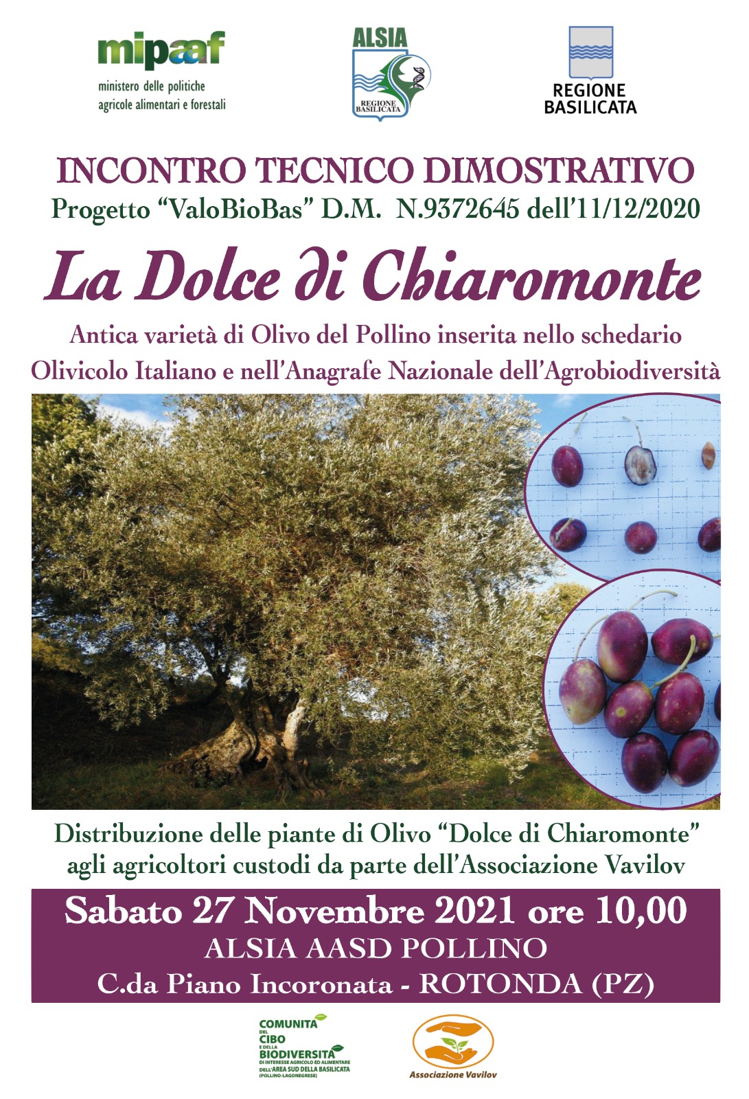 Il 27 nell’Azienda agricola “Pollino” di Rotonda (PZ) “La Dolce di Chiaromonte”: incontro tecnico-dimostrativo