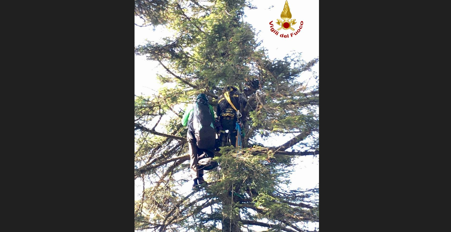 Atterraggio di emergenza con il parapendio, 64enne rimane bloccato a 15 metri tra i rami di un albero sul monte Vulture. Intervento dei Vigili del fuoco