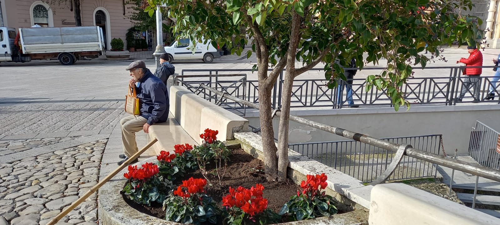 Matera, fiori natalizi in città su iniziativa del sindaco Bennardi e dell’assessore Digilio