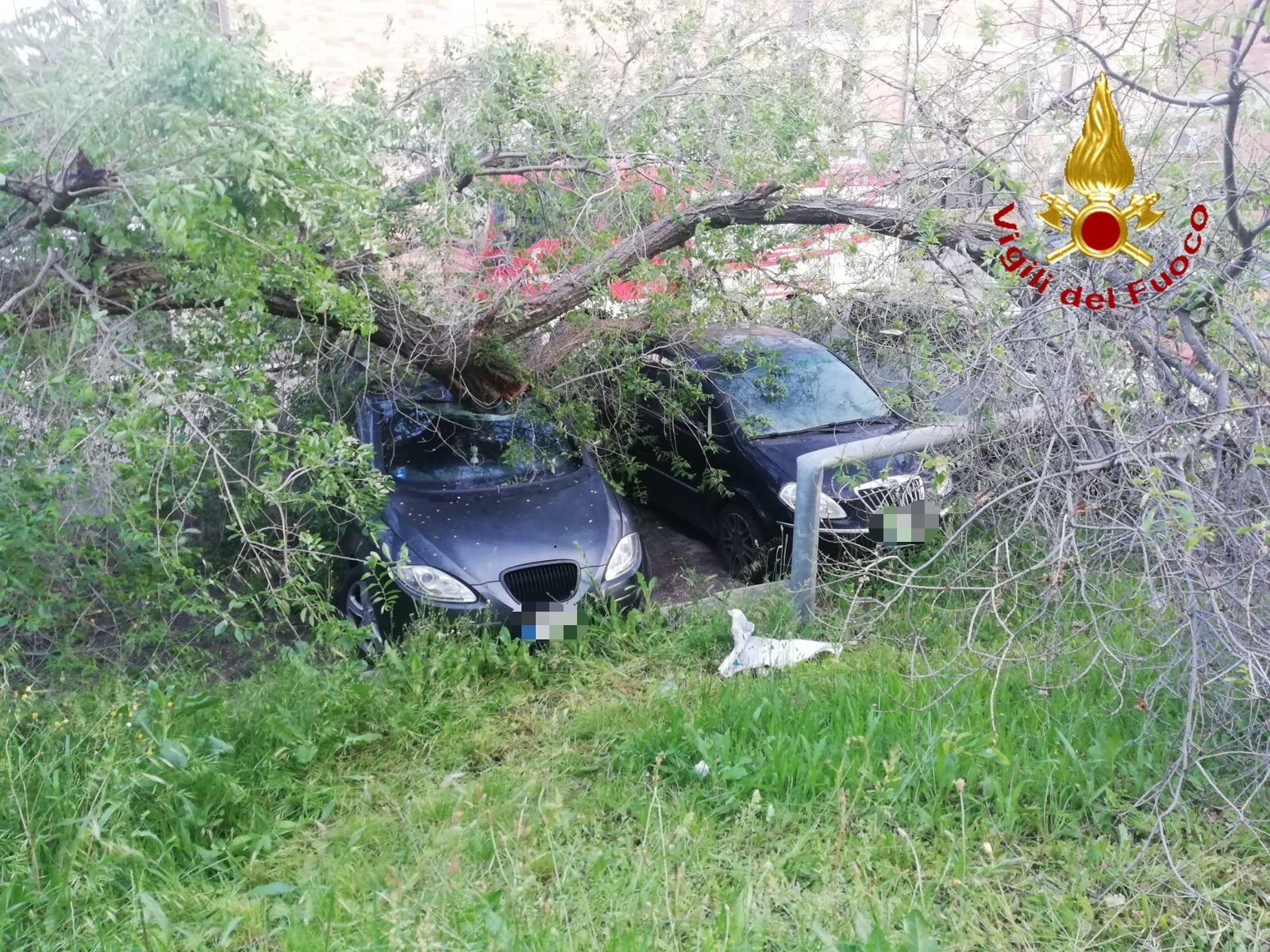 Matera, interventi dei Vigili del Fuoco nel quartiere Spine Bianche: cinque auto danneggiate da un albero e un palo divelti per il maltempo