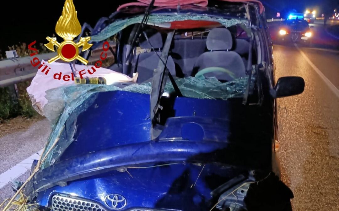 Incidente stradale nei pressi di Irsina, marito e moglie ricoverati in codice rosso al “San Carlo”