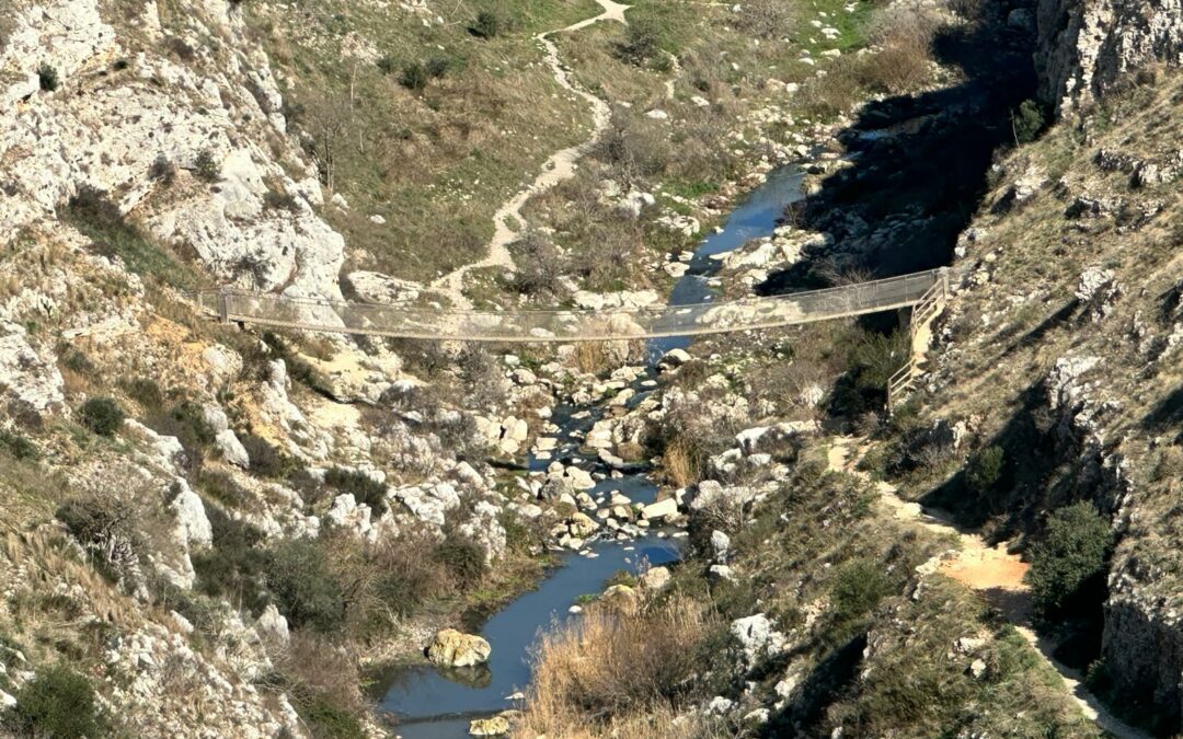Matera, per Pasqua sarà riaperto il sentiero 406 che porta al ponte di legno sul torrente Gravina verso il belvedere di Murgia Timone