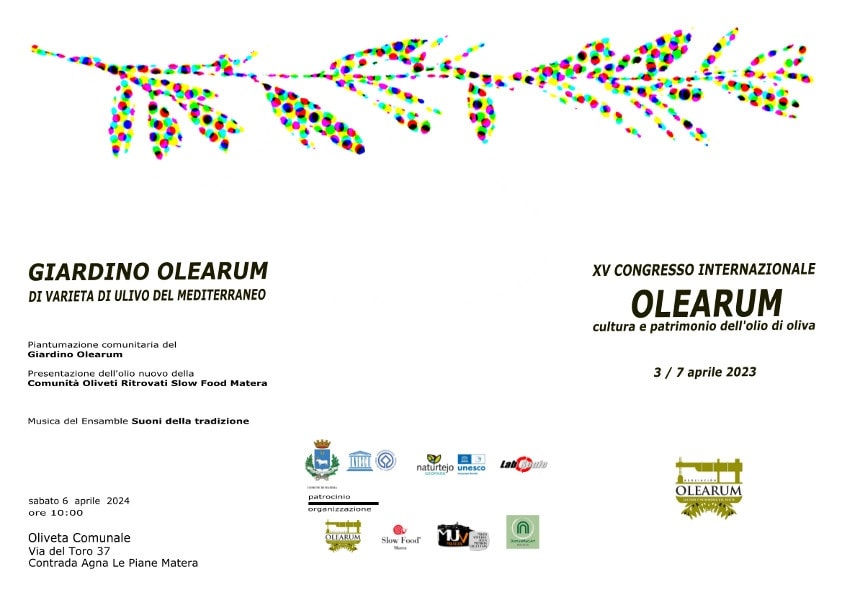 A Matera il XV Congresso annuale dell’associazione Olearum