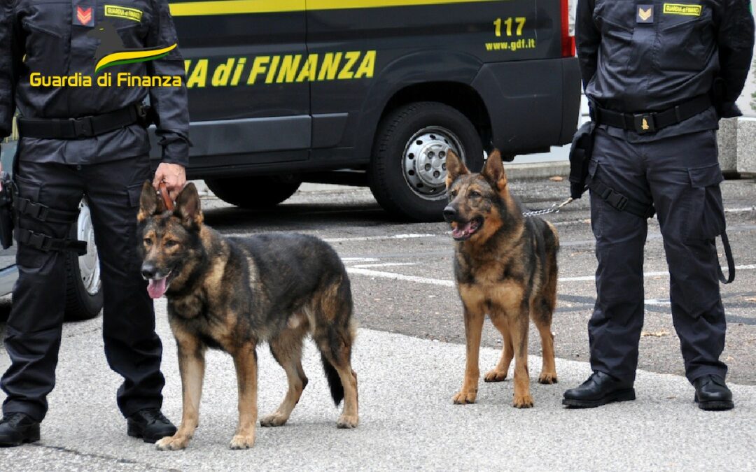 Matera, Guardia di Finanza: nascondeva nel furgone 200 grammi di droga, arrestato trentenne siciliano